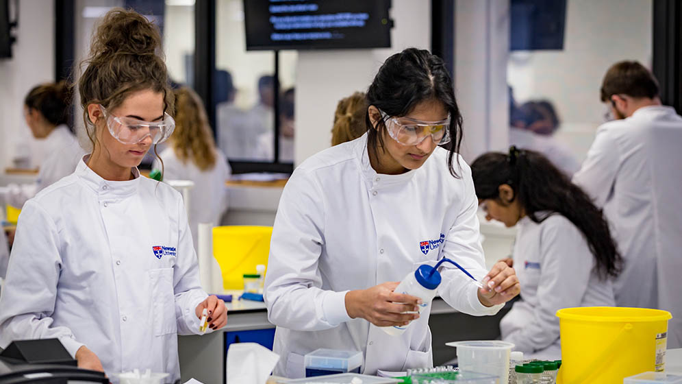 Students working in a biomedical lab